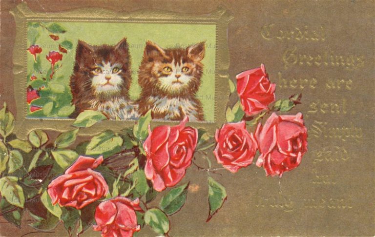 acc570-Cats with Roses Flowers