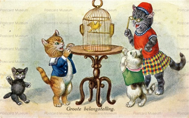 acc670-Dressed Cats Watching Bird in Cage