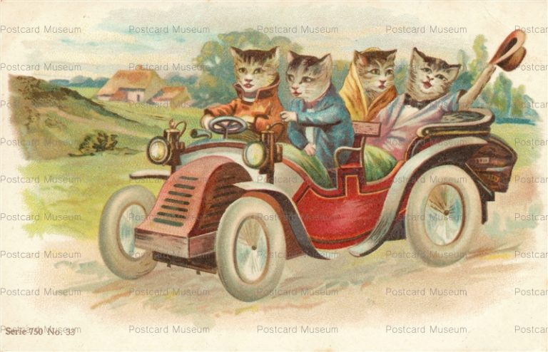 acc680-Cats in an Auto