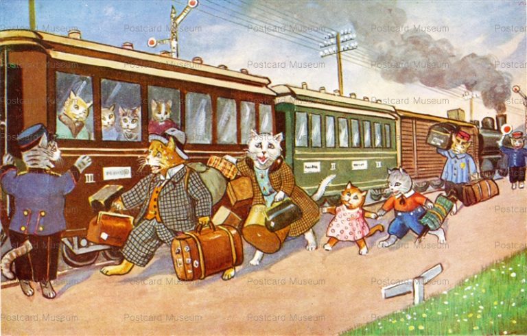 acc685-Cats on the Train Station Funny