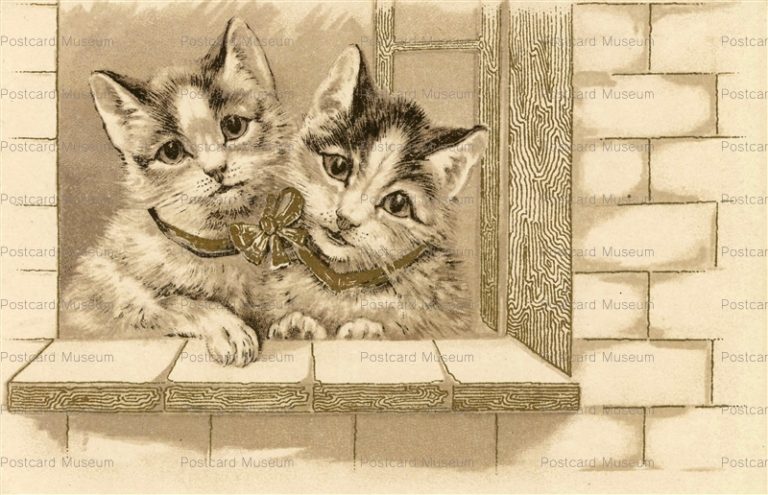 acc710-Love Cat from Window