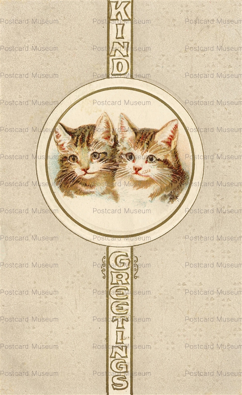 acc717-Kitty Greetings