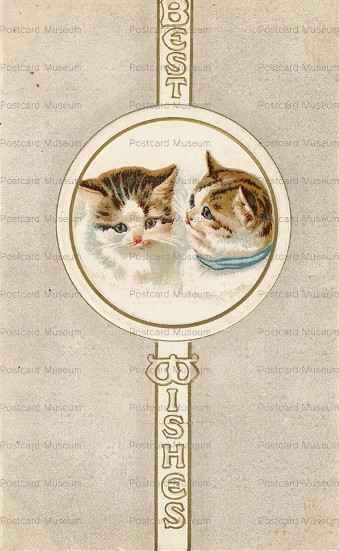 acc718-Kitty Best Wishes