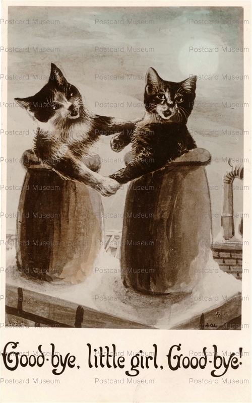 acc725-Chimney Cat