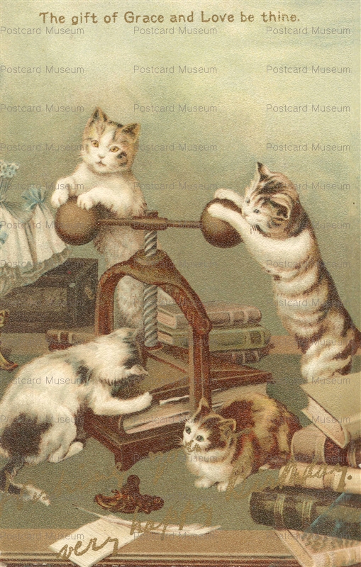 acc730-Birthday Cat Bookmaker