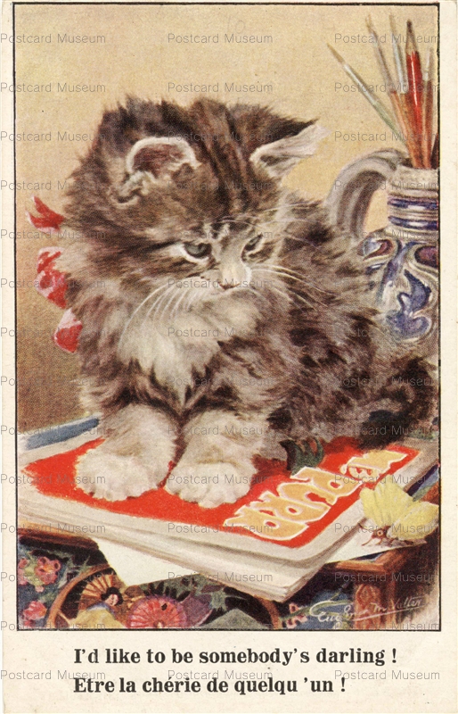 acc740-Sweet Cat Watching Butterfly Valter