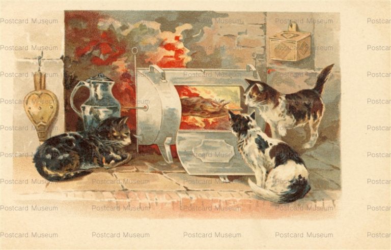 acc747-3Cat Wait for Chicken in Oven