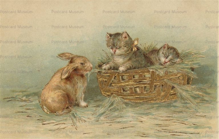 acc752-Rabbit Watch Cats