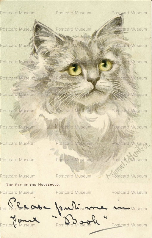 acc758-the Pet of Household