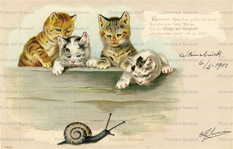 acc770-4Cats Watch Snail
