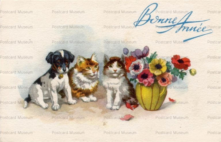 acc780-Bonne Annee Cats&Dogs