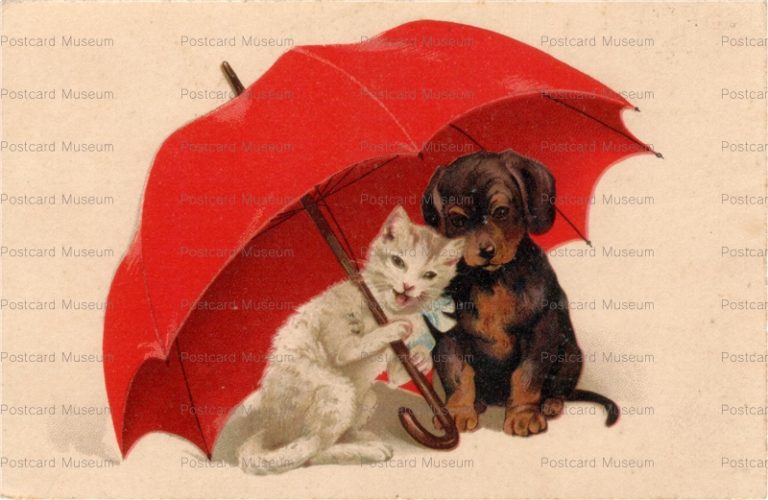 acc790-Dachshuhg Dog with Cat under Parasol