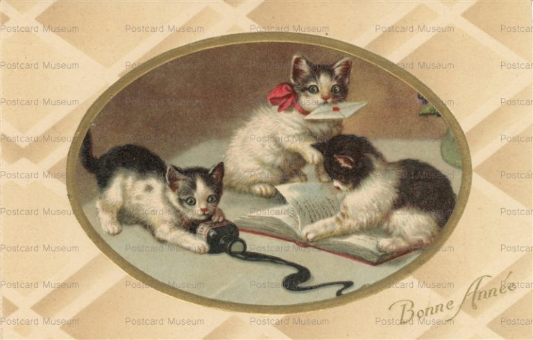 acc860-Cat Kittens Play with Ink Botlle Letter Bonne Annee Pittius