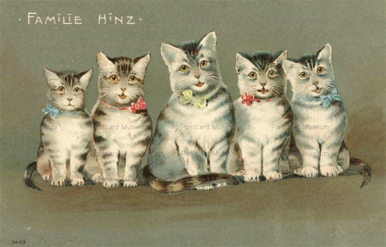 acc870-Family Hinz Cats Embossed