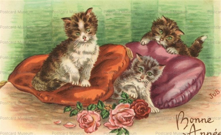 acc885-JUB 3Cats in Pillow Rose Flower Bonne Annee