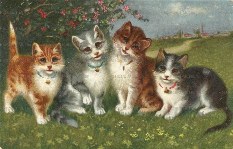 acc890-4Cats