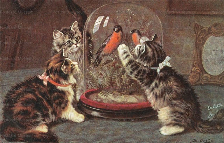 acc915-Cats Watch Birds