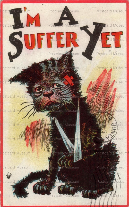 acc935-Woman Suffrage I'm a Suffer Yet Cat