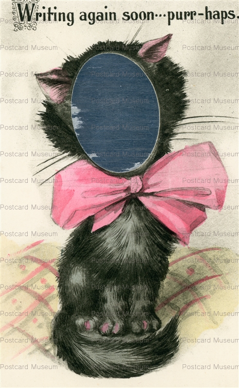 acc945-Novelty Black Cat with Mirror Face