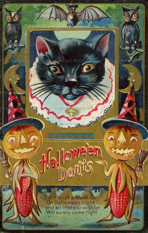 chr120-Halloween Dont's! Don't Scat a Black Cat On Halloween Night and all that you wish for Will surely come right.