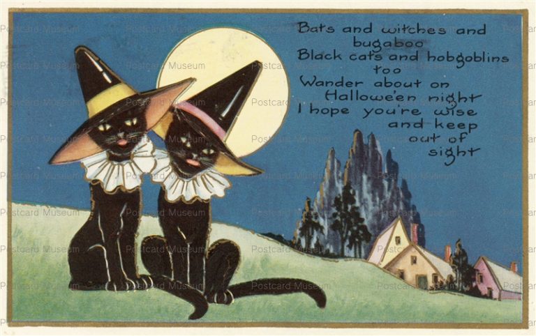 chr300-Halloween Witches Black Cats Full Moon
