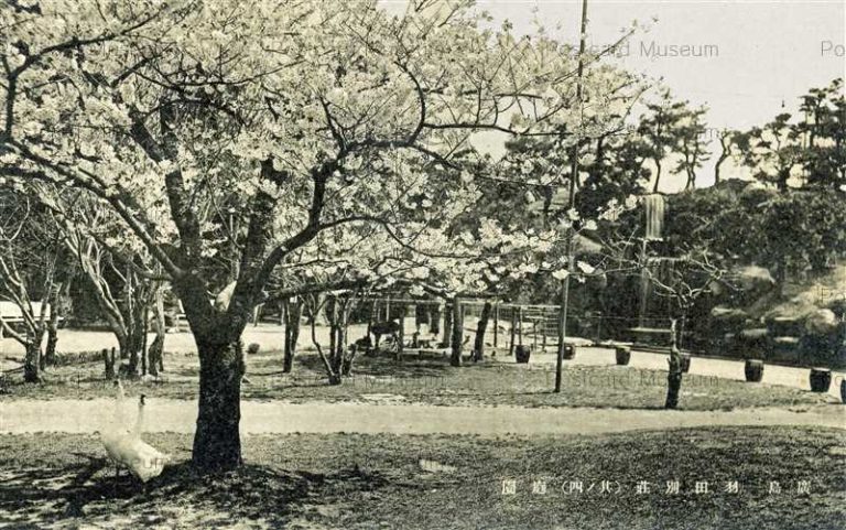 hi133-Hadabesso Hiroshima 羽田別荘 庭園 其ノ四 廣島