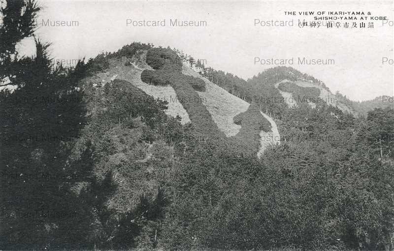 XyE2111【即決絵葉書 送料無料】兵庫 手彩色 須磨月見山 *傷み有り 紙本著色高久靄厓像画稿 椿椿山筆 文化遺産オンライン