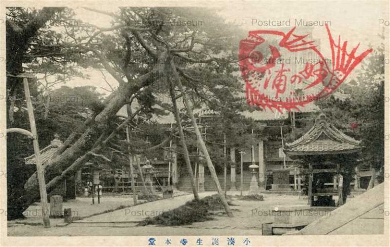 lb778-Kominato Tanjoh Main Temple Chiba 小湊誕生寺本堂