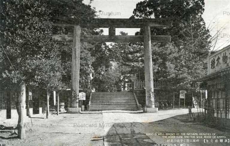 lb855-Katori Jingu Torii Chiba Simofusa 神域に戰ぐ千古の老杉 香取神宮大鳥居 下総
