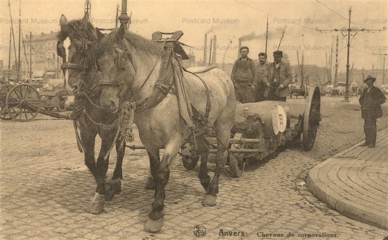 gb130-Anvers Chevaux de corporations