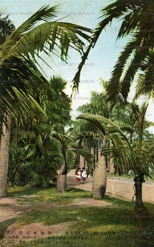 gta074-View of the Taihoku Botanical Garden Formosa 臺北植物園 臺北