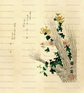 ukt350-静山 菊