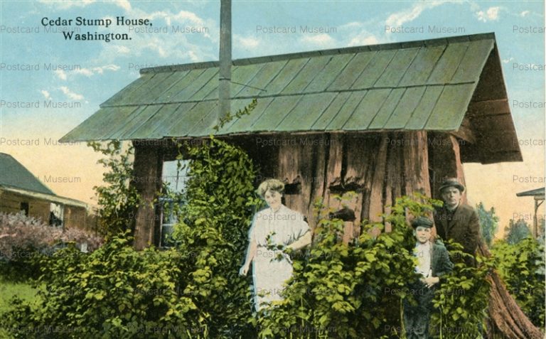 usa147-Ceder Stump House Washington