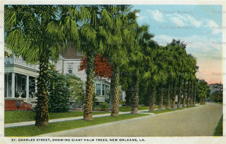 usa819-St.Charles Street Showing Giant Plam Trees Old Spanish Court New Orleans La.