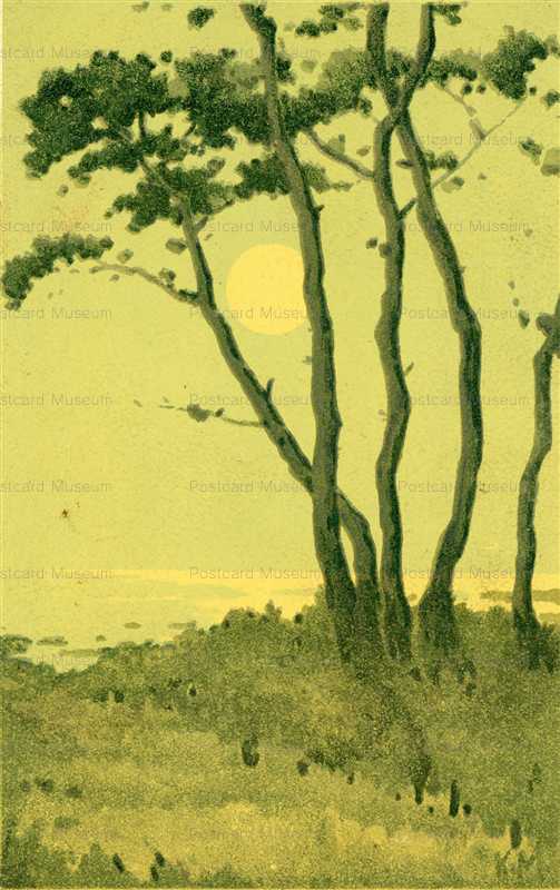 aa730-高い木と満月