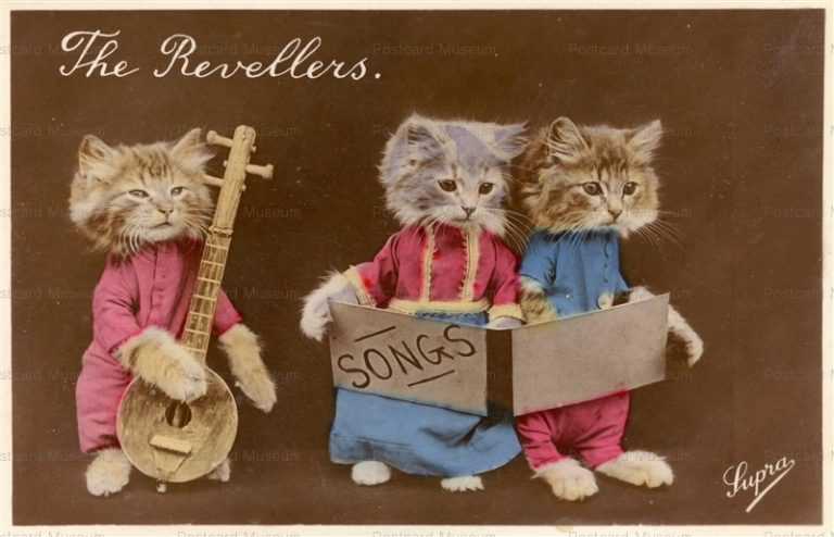 ac005-Dressed Cat Rock Band The Revellers