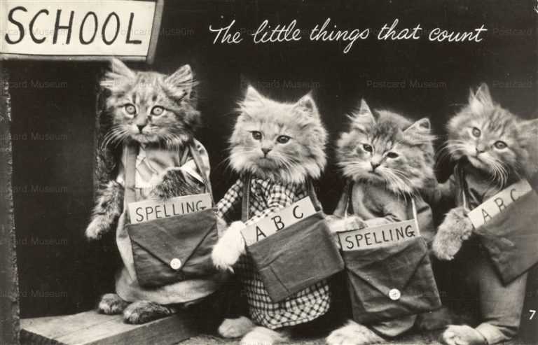 acb008-Dressed Cats Go School the Little Things that Count