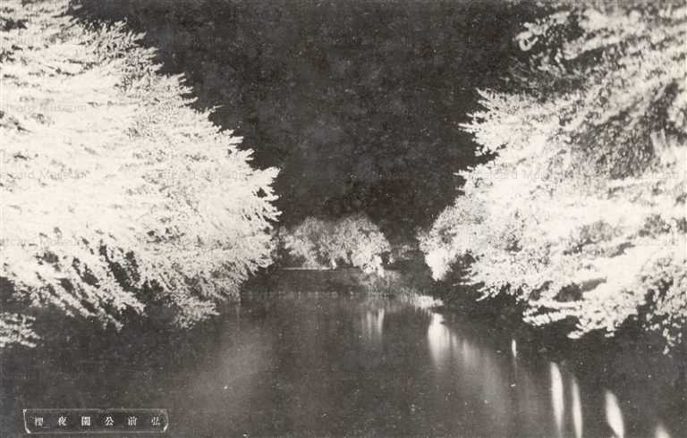 eb558-Hirosaki Park 弘前公園夜桜