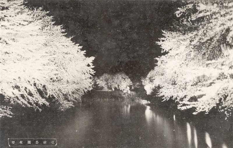 【期間限定】 Park eb558-Hirosaki 弘前公園夜桜 絵葉書資料館 | 絵葉書