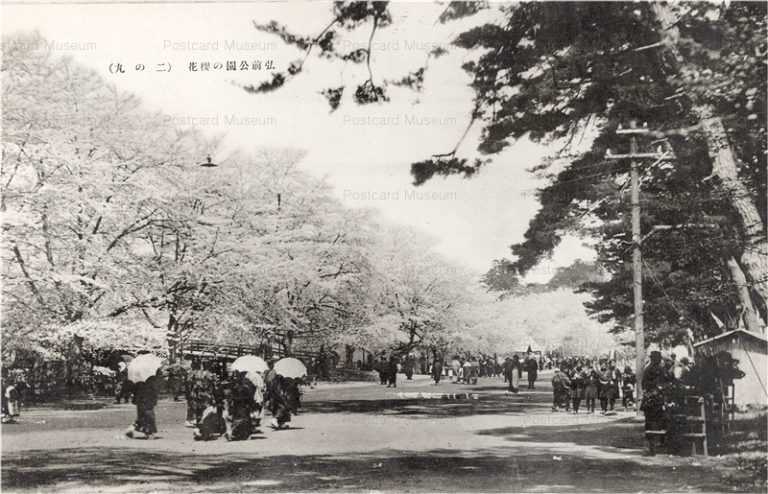 eb560-Hirosaki Castle Ninomaru 弘前公園の桜花 二の丸