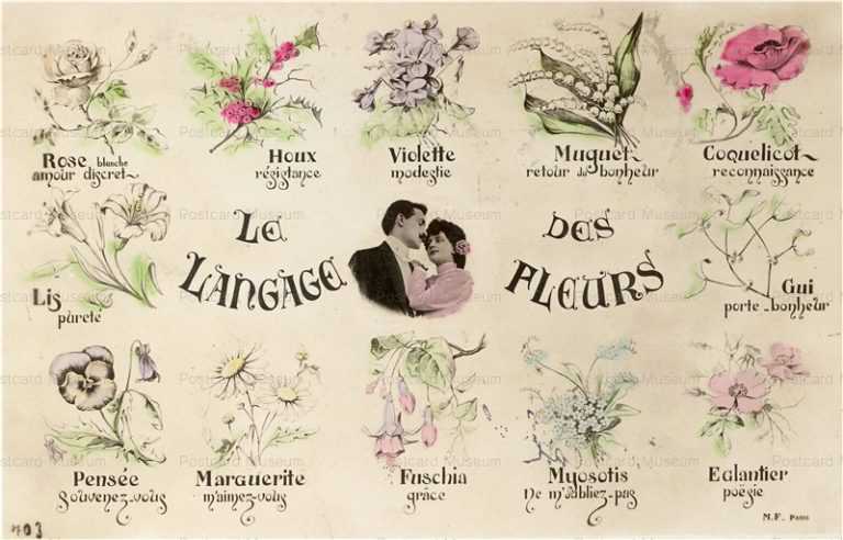 em280-Flower Language Romance