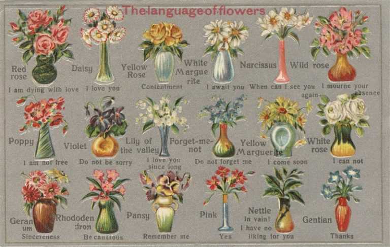 em292-the Language of Flowers