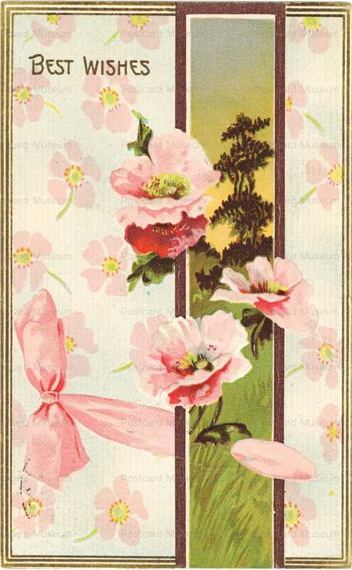 花 Flower Fruit | ページ 3 | 絵葉書資料館
