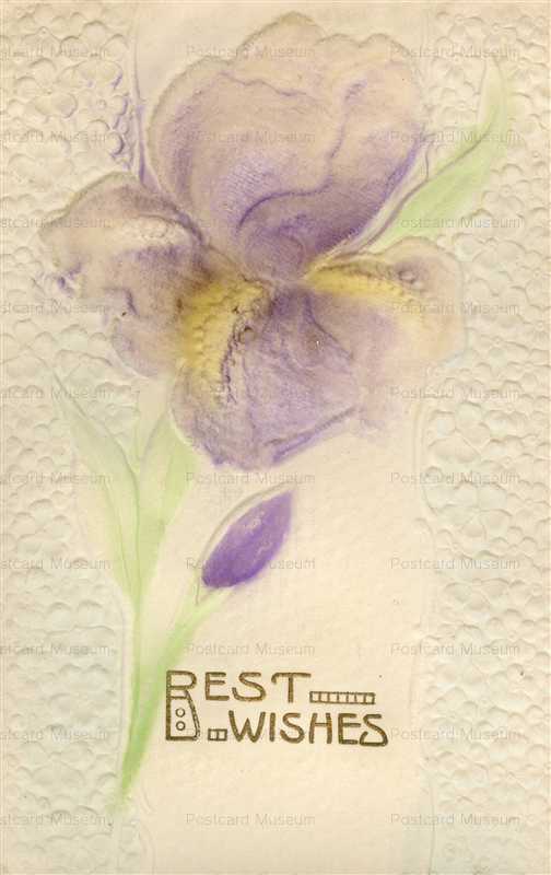 em855-Best Wishes Iris Emboss
