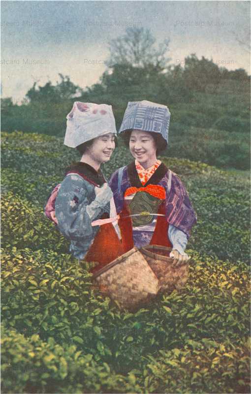 fk080-茶畑 茶摘娘二人の談笑