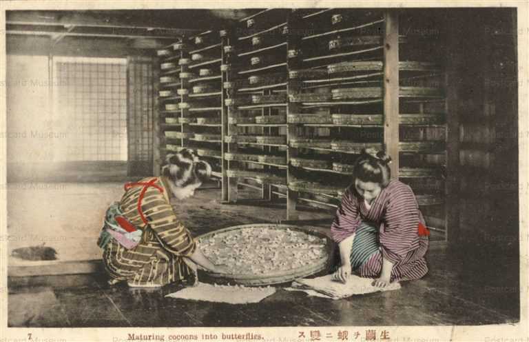 fk130-生繭を蛾に變えす女性達