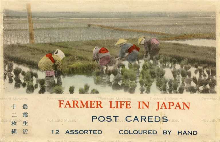 fk160-農業生活 12枚組 袋  田植え