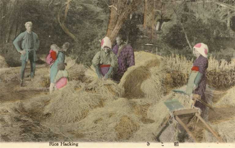 fk163-稲こき 農業生活 12枚組