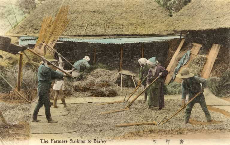 fk169-麦打ち 農業生活 12枚組