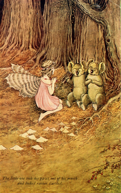 fo260-Ida Rentoul Outhwaite Fairy Girl with wings.Australian Koalas From The Little Fairy Sister